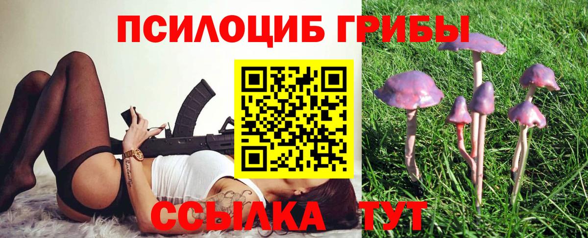 Галлюциногенные грибы Magic Shrooms Обнинск